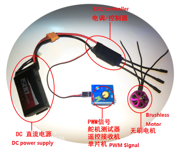 12V-24V motori del propulsore di CC ROV per SW2216 a basso rumore ...