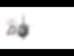 Motore passo a passo ibrido bipolare del diametro del NEMA 8 20mm