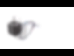 Motore passo a passo ibrido bipolare del diametro del NEMA 8 20mm