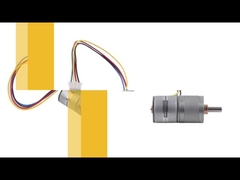 20BY45 10rpm ha innestato il doppio cavo di fase 4 del motore passo a passo per l'analizzatore dell'urina
