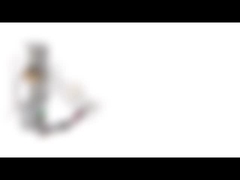 Stampatore Mini Linear Stepper Motor di CC 12v Pm del NEMA 8 20mm 2 cavo di fase 4