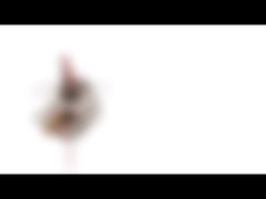 fase di 10mm Mini Permanent Magnet Stepper Motor 5v 2 18 gradi