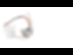 motore passo a passo del magnete permanente di resistenza di 20mm 12v 100 Ω angolo di punto di 18 gradi