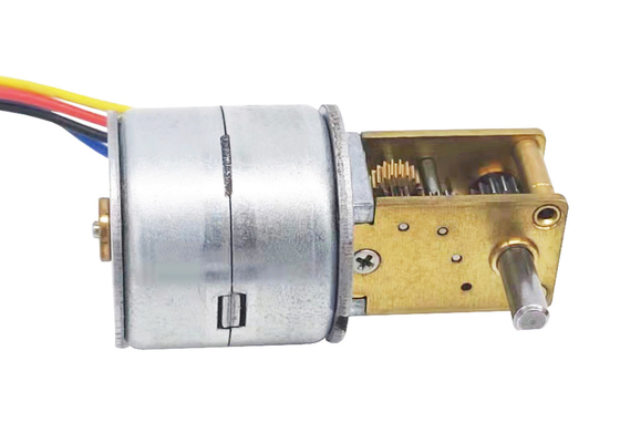 Fuoco di uscita motorino passo a passo 20 mm personalizzato e cambio worm